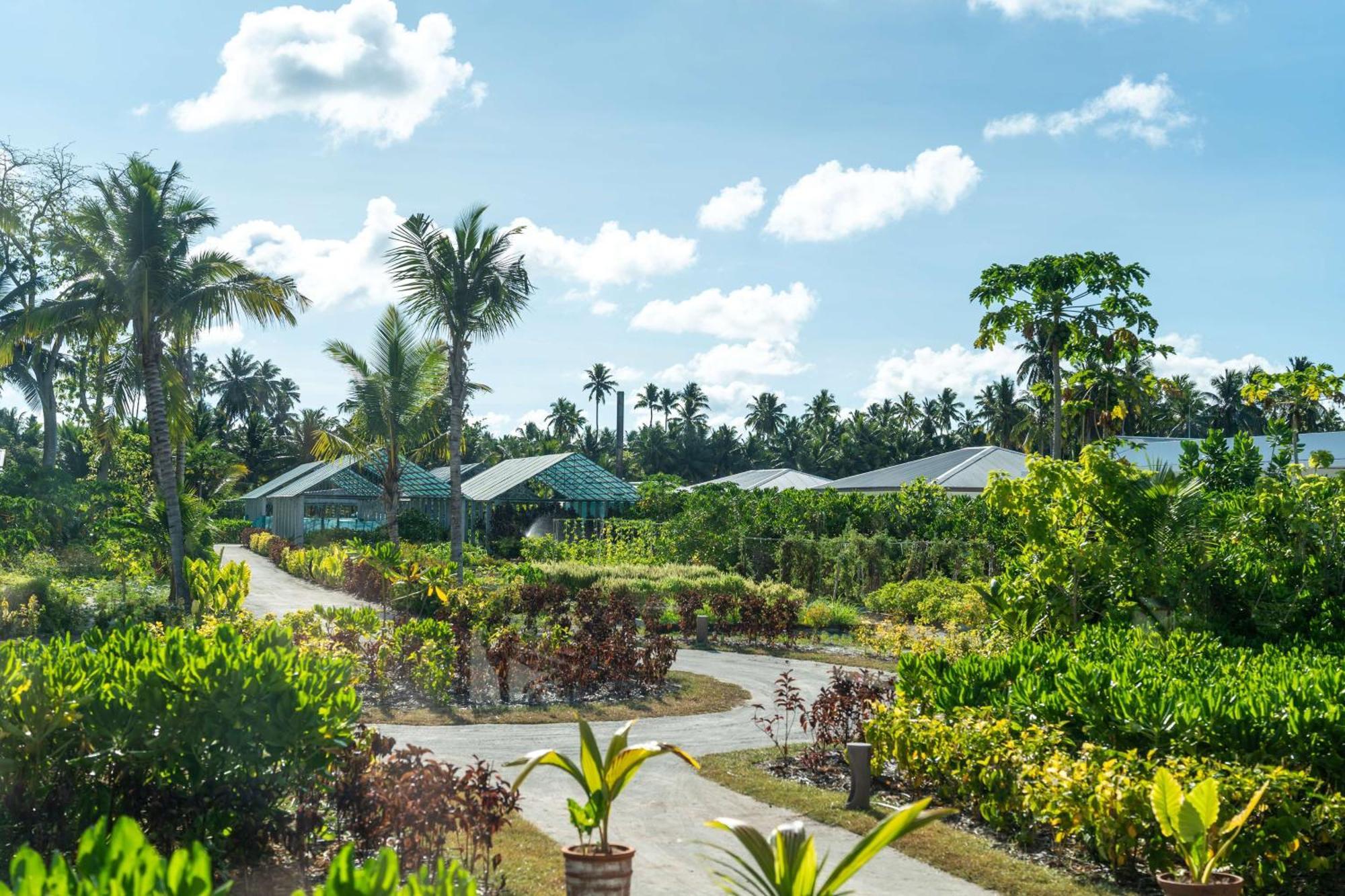 Waldorf Astoria Seychelles Platte Island Exterior foto